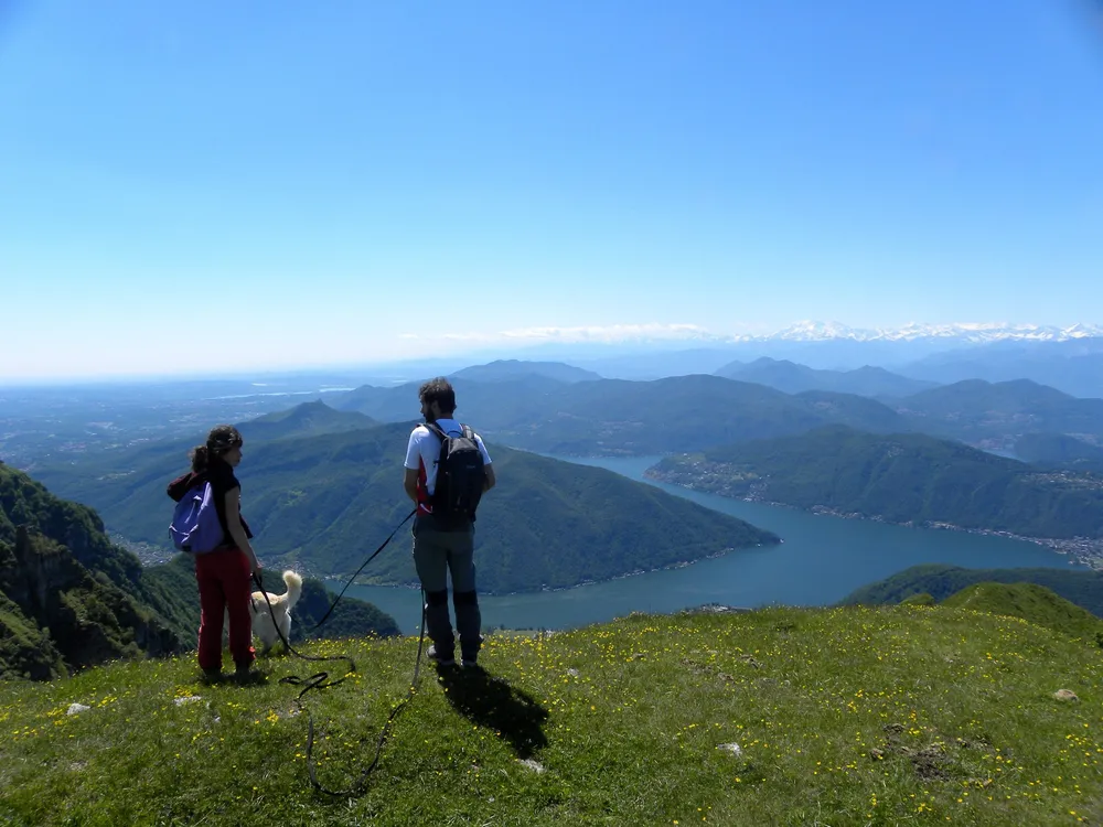 Sentiero boschivo ben curato o vista sul paesaggio naturale