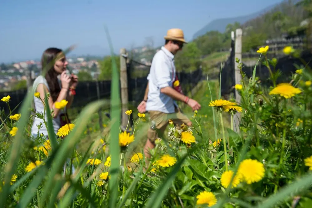Parco verde con famiglie che passeggiano o giocano, montagne sullo sfondo